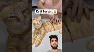 Kedi Pastası Heykel gibi kedi 🙀😳 evcilhayvan kediler pasta [upl. by Oliver]