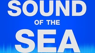 Sea Sound Effects  Sound of the Sea Waves  Water Ocean Calming Waves SFX [upl. by Player]