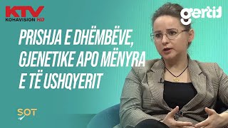 Prishja e dhëmbëve gjenetike apo mënyra e të ushqyerit  flet Egzona Mustafa stomatologe  KTV [upl. by Ninazan]