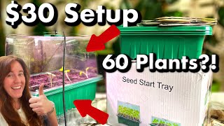 Seed Starting Kit From Amazon The Lights Work [upl. by Yenaiv]