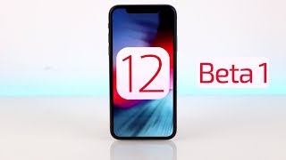 iOS 12 Beta 1 Review [upl. by Bellis668]