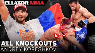 TOP 5 Finishes Andrey Koreshkov  Bellator MMA [upl. by Vorster]