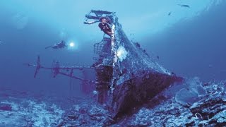 Zenobia Wreck Dive Highlight [upl. by Cynthla]