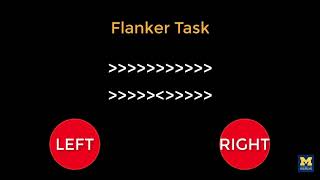 AFNI Tutorial 2 The Flanker Task [upl. by Genie]