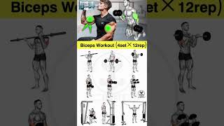 Biceps Workout At Home bicepssworkout bicepsworkoutathome homeworkout armworkoutathome [upl. by Radley]