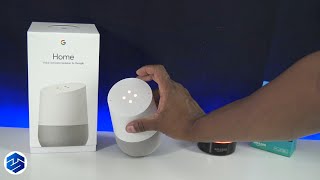 Echo Dot VS Google Home Which One Wins [upl. by Kearney384]