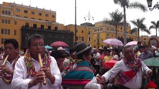 PINQUILLADA DE MOHO PUNO en Lima 2015 [upl. by Hcardahs422]