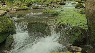 Mountain River Waterfall Flowing 8 hour water sounds nature white noise river sounds for sleeping [upl. by Annaerda]