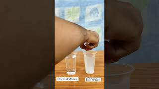 Normal Water Vs Salt Water Experiment shorts experiment [upl. by Ecinna220]