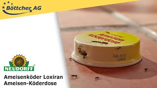 Ameisenköder Neudorff Loxiran Ameisen Köderdose [upl. by Notnirt]