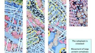 Attachment amp entry Lecture 5 [upl. by Spenser]