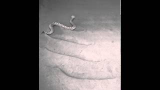 Snake motion Sidewinding 4 [upl. by Ardisi]