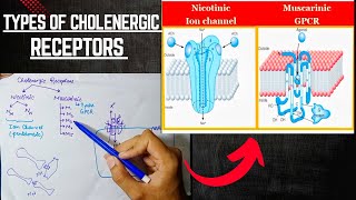 Cholenergic Receptors  Cholenergic System  ANS Pharmacology [upl. by Prochoras772]