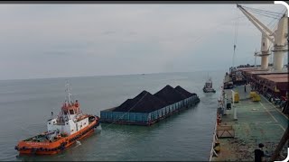 Floating Crane 🤏 Bongkar Batubara Kalimantan [upl. by Renee751]