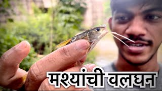 Valgan 2024 😍  VLOG05  माश्यांची वलघन  valghan agrikolivlog viral fishing वलघन vlog05 [upl. by Evars]