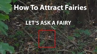 How to Attract Fairies  Lets Ask a Fairy [upl. by Kare]