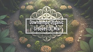 Downtempo Organic Grooves DJ Mix  Chill Music  Electronica [upl. by Seraphim]