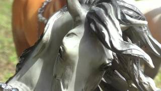 Downcome  Official Breyer Horse Movie  Trailer 1 [upl. by Saidee]