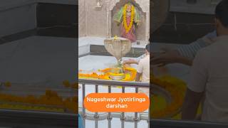 Nageshwar Jyotirlinga gujrat jyotirling harharmahadev [upl. by Dunton]