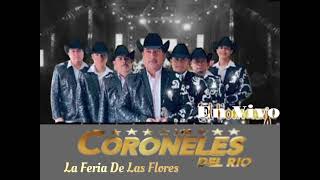 CORONELES DEL RIO En Vivo  La Feria De Las Flores [upl. by Donella722]