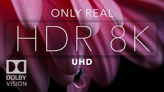 8K HDR Bright Color Dolby Vision [upl. by Behl]