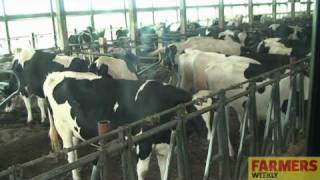 Farmers Weekly visits a 32000 cow dairy [upl. by Seem645]