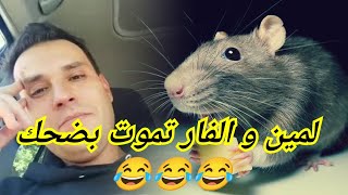 Lamine khelifa  لمين و الفار تموت بضحك 😂🇺🇸😂 livehabacha817 [upl. by Queena373]