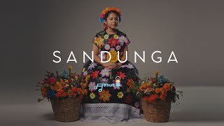 SANDUNGA EN NAHUATL  music nahuatl mexico oaxaca cultura [upl. by Tessy]