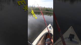 Try out these lures… fishing homemade northernpike [upl. by Colpin]