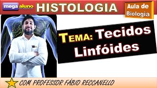 Sistema Linfático  Tecidos e órgãos linfáticos Linfonodos Baço e Timo [upl. by Duwe159]