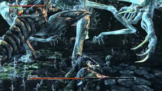 Bloodborne Boss Guide How to beat Amygdala [upl. by Maretz613]