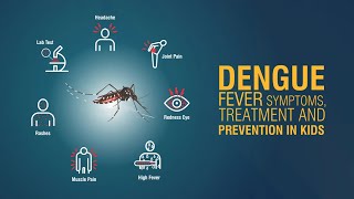 Top Tips To Prevent Dengue Fever [upl. by Guarino599]