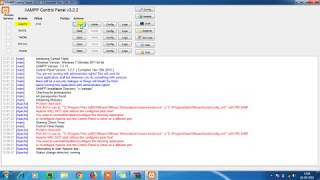 Xampp Control Panel Problem HindiUrdu [upl. by Adnamor]