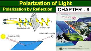 Polarization of Light  Brewster’s Law  Polarized Light  Class 11 physics  Study With ME [upl. by Ashli153]