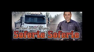 SOFERIE SOFERIE COLAJ PENTRU SOFERI MUZICA SORINEL DE LA PLOPENI 2017 [upl. by Akim9]