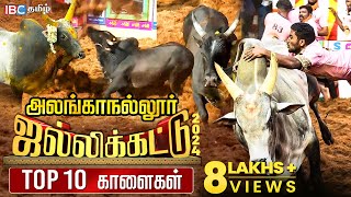 Top 10 Bulls of Alanganallur Jallikattu  அலங்காநல்லூரில் கலக்கிய TOP 10 ஜல்லிக்கட்டு காளைகள்  IBC [upl. by Goodill]