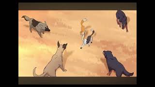 Warrior cats Swiftpaw Tribute [upl. by Jehovah423]