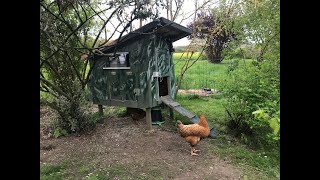 porte de poulailler automatique très simple à réaliser et pas chère motorized chicken coop door [upl. by Yrocaj]