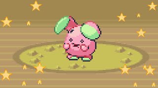 LIVE Shiny Whismur After 19397 REs In Pokémon Emerald Emerald DTQ 2 [upl. by Salomie]