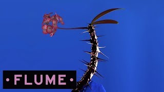 Flume  Hyperreal feat Kučka [upl. by Berfield700]