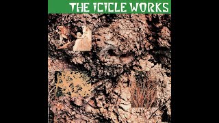 The Icicle Works  quotReaping The Rich Harvestquot 2006 remaster [upl. by Natividad44]