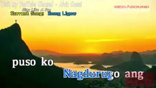 Ibong Ligaw  karaoke [upl. by Enoitna]