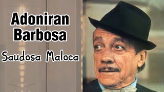 ADONIRAN BARBOSA  Saudosa Maloca com letra [upl. by Hsivat]