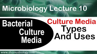 Microbiology lecture 10  bacterial culture media classification types and uses [upl. by Sherwood]