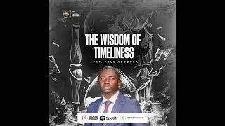 THE WISDOM OF TIMELINESS  Apostle Tolu Agboola [upl. by Ellevehc95]