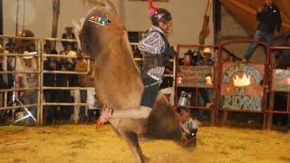 💥QUE GRAN AGARRÓN SE DIERON 🔥 Rancho StaCruz en cruz de piedra Coatepec de harinas [upl. by Nawed]