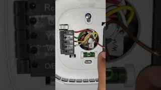 Connecting Humidifier to Ecobee [upl. by Airotciv]