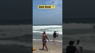 ocean shark swimming sorts dancemusic beaches beachlife travel beachwalk newjersey [upl. by Draneb]