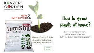 How to grow plants at home Find our how to grow naturally with NutriSoil Supreme [upl. by Mou]