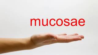 How to Pronounce mucosae  American English [upl. by Ynohtnakram]